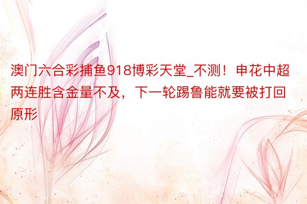 澳门六合彩捕鱼918博彩天堂_不测！申花中超两连胜含金量不及，下一轮踢鲁能就要被打回原形