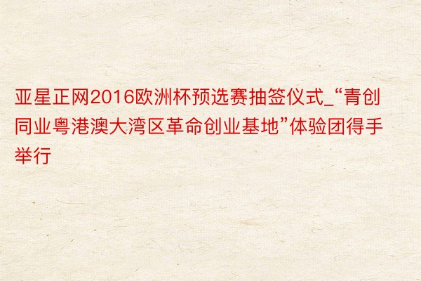 亚星正网2016欧洲杯预选赛抽签仪式_“青创同业粤港澳大湾区革命创业基地”体验团得手举行