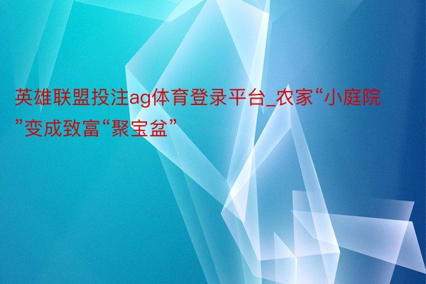 英雄联盟投注ag体育登录平台_农家“小庭院”变成致富“聚宝盆”