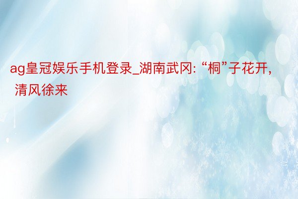 ag皇冠娱乐手机登录_湖南武冈: “桐”子花开, 清风徐来