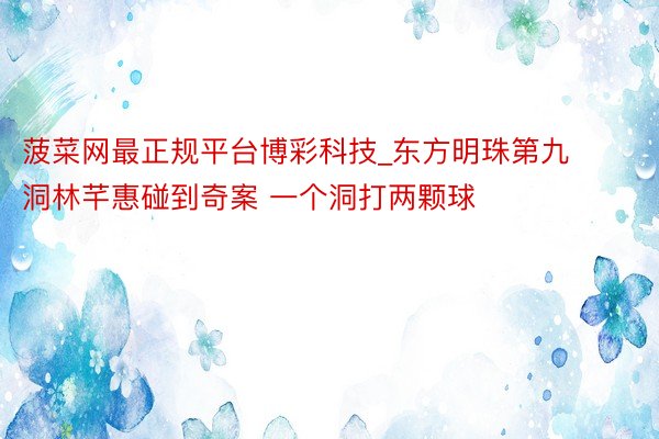 菠菜网最正规平台博彩科技_东方明珠第九洞林芊惠碰到奇案 一个洞打两颗球