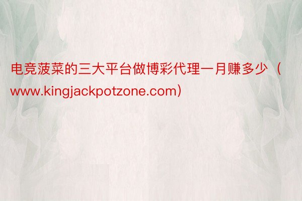 电竞菠菜的三大平台做博彩代理一月赚多少（www.kingjackpotzone.com）