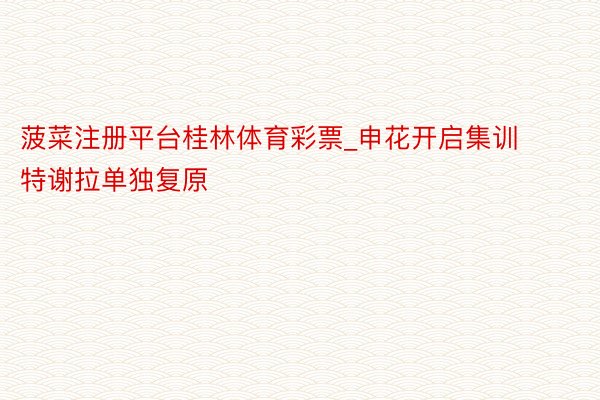 菠菜注册平台桂林体育彩票_申花开启集训特谢拉单独复原