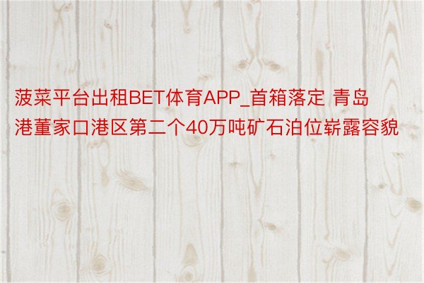 菠菜平台出租BET体育APP_首箱落定 青岛港董家口港区第二个40万吨矿石泊位崭露容貌