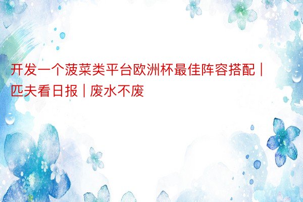 开发一个菠菜类平台欧洲杯最佳阵容搭配 | 匹夫看日报 | 废水不废